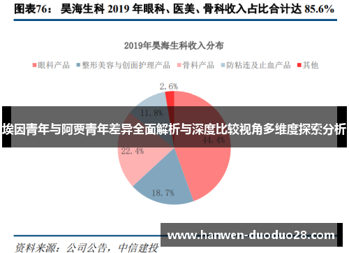 埃因青年与阿贾青年差异全面解析与深度比较视角多维度探索分析