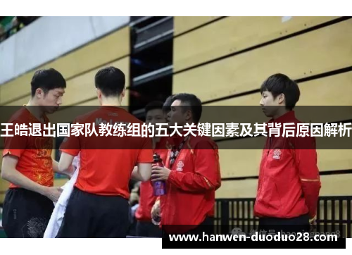王皓退出国家队教练组的五大关键因素及其背后原因解析
