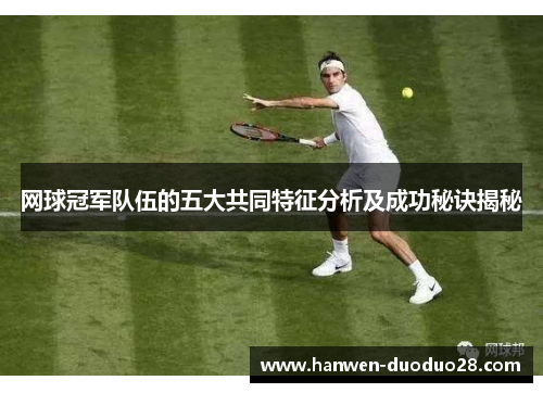 网球冠军队伍的五大共同特征分析及成功秘诀揭秘