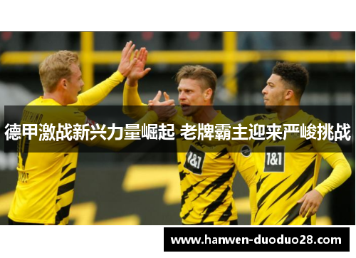 德甲激战新兴力量崛起 老牌霸主迎来严峻挑战