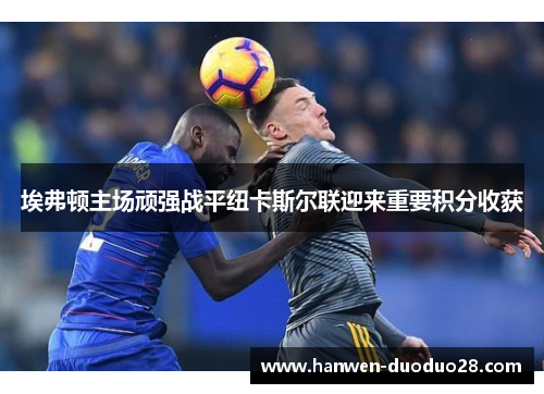 埃弗顿主场顽强战平纽卡斯尔联迎来重要积分收获 埃弗顿主场顽强战平纽卡斯尔联迎来重要积分收获