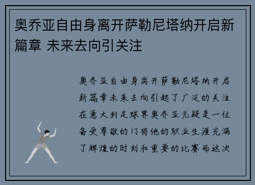 奥乔亚自由身离开萨勒尼塔纳开启新篇章 未来去向引关注